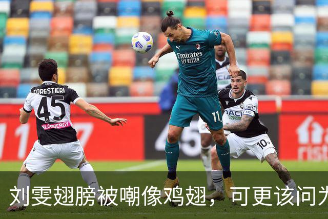 刘雯翅膀被嘲像鸡翅，可更该问为何十年仅两副？