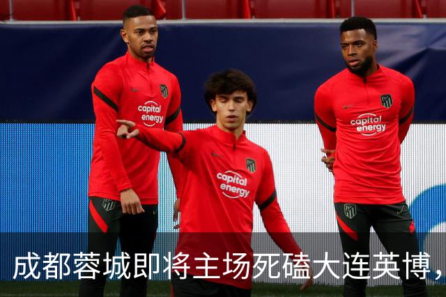 成都蓉城即将主场死磕大连英博，俱乐部或提前做出重要决定