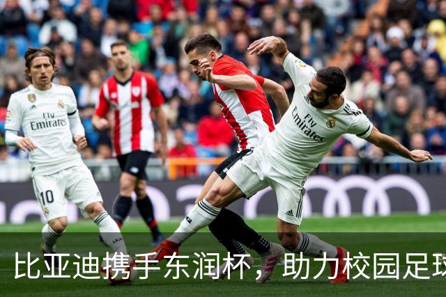 比亚迪携手东润杯，助力校园足球少年圆梦工体