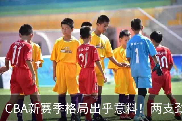 CBA新赛季格局出乎意料！两支劲旅沦为倒数，三支球队成黑马