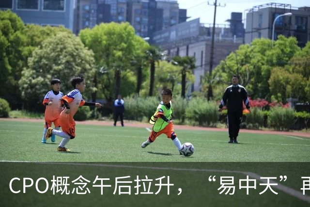 CPO概念午后拉升，“易中天”再密集回应：在手订单充足、经营正常